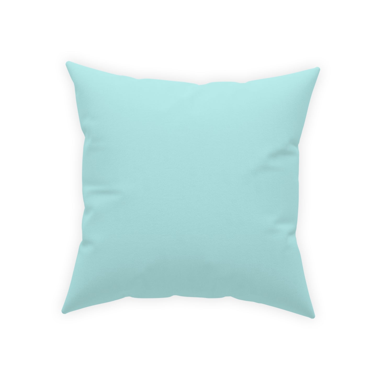 Celebrate the Journey Sanora Complimentary Pillow